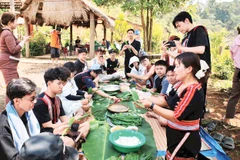 Hướng dẫn du khách trải nghiệm gói bánh dân tộc.