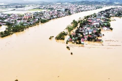 Bão số 10 và mưa lũ sau bão đã gây thiệt hại rất nặng nề về sinh kế tài sản, cơ sở hạ tầng tại các địa phương khu vực Bắc Bộ và Bắc Trung Bộ.