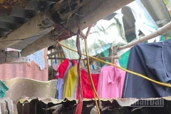 Sợi dây điện khiến 2 mẹ con ruột ở xã Hưng Thạnh, tỉnh Đồng Tháp tử vong.