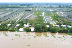 Nhiều ngôi nhà khang trang bên cánh đồng khóm Cầu Đúc ở xã Hỏa Lựu nhìn từ trên cao.