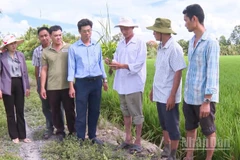 Khoa học và công nghệ giúp nâng cao năng suất, hướng đến nền nông nghiệp xanh và thích ứng với khí hậu.