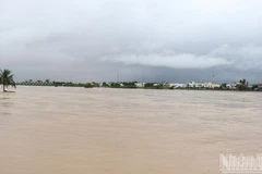 Nhiều nơi tại tỉnh Quảng Ngãi bị ngập sâu. (Ảnh: Hiển Cừ)