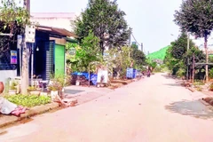 Khu tái định cư Dự án Khai thác chế biến khoáng sản Núi Pháo tại xã An Khánh.