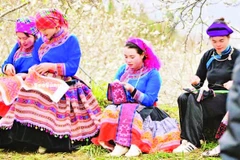 Sắc xuân đã về trên cao nguyên trắng Bắc Hà.