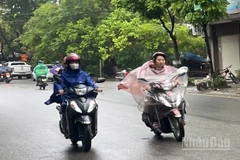 Dự báo khu vực Hà Nội ngày có mưa, mưa vừa và dông, cục bộ có nơi mưa to. (Ảnh minh họa: Đ.T)