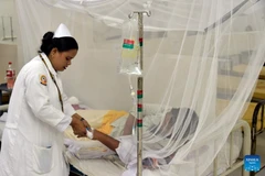 Một bệnh nhân nhiễm sốt xuất huyết được điều trị tại một bệnh viện ở Dhaka, Bangladesh. (Ảnh: Tân Hoa xã)
