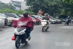 Dự báo Bắc Bộ có mưa rào và dông. (Ảnh minh họa: Đ.T)