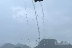 Dự báo khu vực Tây Bắc có mưa vừa, mưa to, có nơi mưa rất to. (Ảnh minh họa: Đ.T)