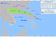 Bản đồ dự báo quỹ đạo và cường độ bão Wipha lúc 2 giờ ngày 18/7.