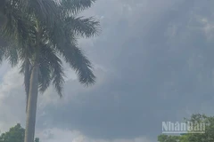 Dự báo khu vực Bắc Bộ và Thanh Hóa đến Hà Tĩnh có mưa rào và dông. (Ảnh minh họa: Đ.T)