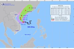 Bản đồ dự báo bão.
