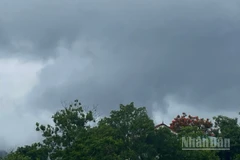 Dự báo khu vực Hà Nội có mây, có lúc có mưa rào và dông. (Ảnh minh họa: Đ.T)