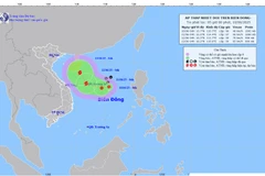 Bản đồ dự báo quỹ đạo và cường độ áp thấp nhiệt đới lúc 5 giờ ngày 10/6/2025.