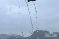 Dự báo khu vực vùng núi Bắc Bộ có mưa rào và dông rải rác, cục bộ có nơi mưa to. (Ảnh minh họa: Đ.T)