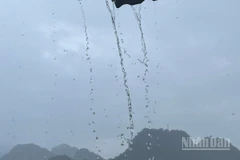 Lào Cai và Tuyên Quang có mưa rào, có nơi trên 80mm. (Ảnh minh họa: Đ.T)