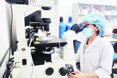 Hoạt động nghiên cứu khoa học tại Đại học Quốc gia Thành phố Hồ Chí Minh.