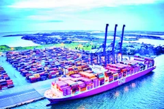 Với lợi thế cảng biển, thành phố Hải Phòng đang phấn đấu xây dựng hình mẫu về cảng xanh, cảng thông minh tại Việt Nam và khu vực. (Ảnh ĐỨC NGHĨA)