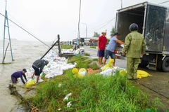 Người dân xã Duy Nghĩa nỗ lực gia cố tạm thời bờ kè An Lương.