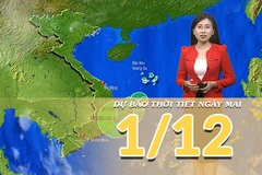 [Video] Dự báo thời tiết đêm nay và ngày mai 1/12/2025: Bão số 15 liên tục suy yếu
