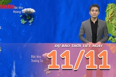 [Video] Dự báo thời tiết ngày 11/11/2025: Trung Bộ hửng nắng