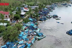 [Video] Bão Kalmaegi gây thiệt hại nặng cho tàu thuyền ven biển miền Trung