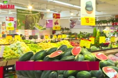 [Video] Cơ hội tăng tốc của các chuỗi bán lẻ nội trong làn sóng hiện đại hóa