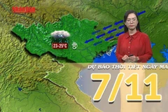 [Video] Dự báo thời tiết đêm nay và ngày mai 7/11/2025: Bão số 13 di chuyển nhanh, đổ bộ vào đất liền nước ta trong đêm nay