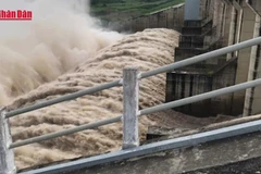 [Video] Thủy điện Sông Ba Hạ xả lũ kỷ lục, nhiều khu vực hạ du ngập sâu