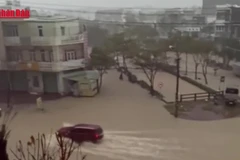 [Video] Hàng nghìn hộ dân tại Gia Lai bị nhấn chìm trong mưa lũ