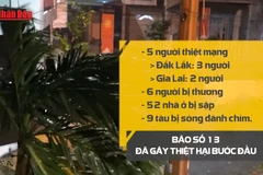 [Video] Thiệt hại bước đầu do bão số 13