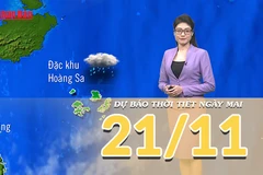 [Video] Dự báo thời tiết đêm nay và ngày mai 21/11/2025: Miền Bắc tiếp tục rét sâu về đêm và sáng 