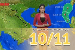[Video] Dự báo thời tiết đêm nay và ngày mai 10/11/2025: Bắc Bộ tiếp tục có mưa