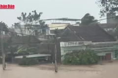 [Video] Người dân Đắk Lắk thiếu nước sạch sau lũ lớn