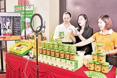 Công ty cổ phần PKT VIETNAM (xã Tiên Du) ứng dụng công nghệ số trong sản xuất, kinh doanh.