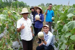 Người nông dân Indonesia được khuyến khích ứng dụng mô hình sản xuất nông nghiệp bền vững.
