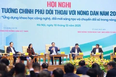 Gieo mầm khát vọng trên cánh đồng Việt.