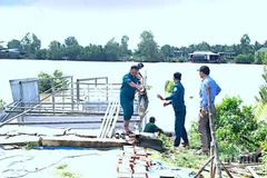 Lực lượng chức năng địa phương hỗ trợ tháo dỡ nhà bà Bích vốn bị nhấn chìm xuống sông sau vụ sạt lở.