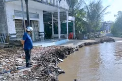 Khu vực sạt lở đất dọc tuyến sông Trại Lưới (thuộc ấp Xẻo Sao, xã Đất Mới) khiến hơn 30m đất bờ sông bị đổ ập xuống nước, đe dọa trực tiếp đến nhà ở của người dân.