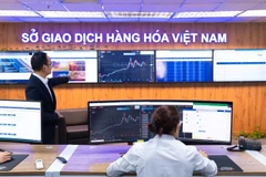 MXV - tổng kết thị phần môi giới quý II năm 2025.