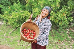 Người nông dân hạnh phúc với hoa màu được “no nước”. Nguồn UNDP