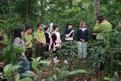 Đoàn công tác thực địa rừng tại địa bàn Lai Châu. (Ảnh: BTC)