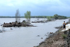Sóng biển gây sạt lở nghiêm trọng vùng ven biển Hố Gùi, xã Tân Tiến, tỉnh Cà Mau.
