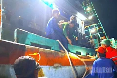 Tổ công tác Đồn Biên phòng Gành Hào tiếp cận tàu cá để đưa thuyền viên bệnh nặng vào bờ.