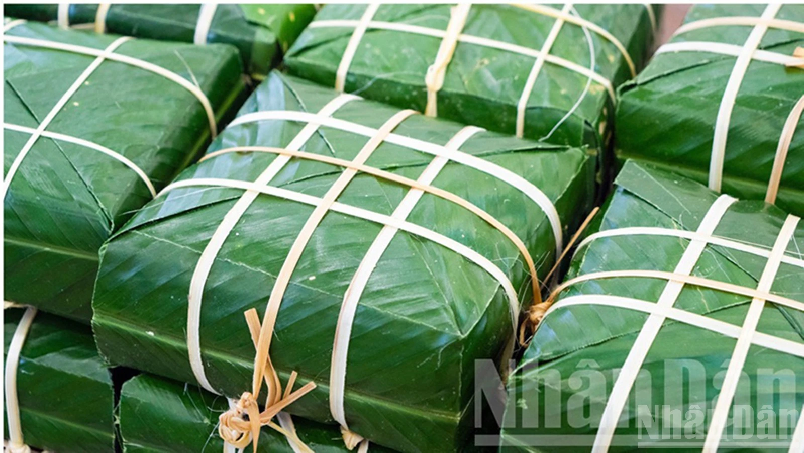 Bánh Chưng Bếp Củi: Hương Vị Tết Xưa Và Nghi Thức Đoàn Viên Khó Phai