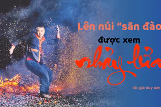Lên núi "săn đào" được xem nhảy lửa