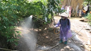 Phun hóa chất khử khuẩn tại vùng có bệnh dịch tả lợn châu Phi tại xã Quản Bạ.