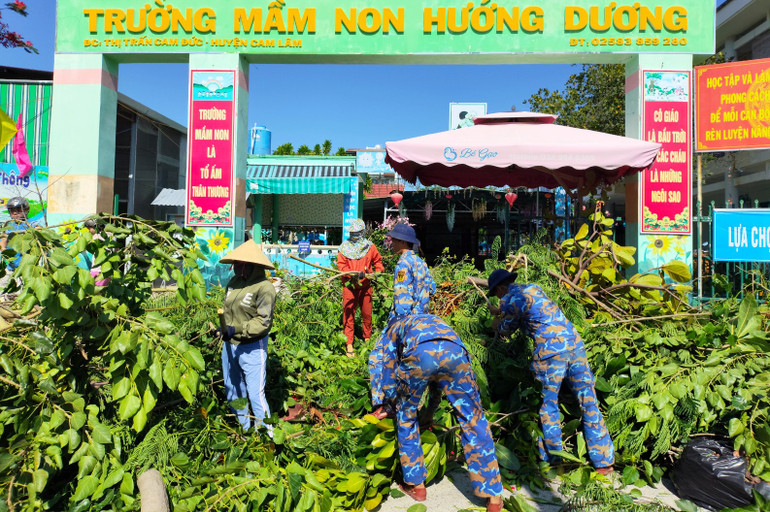 Phát quang cây lớn trước sân trường