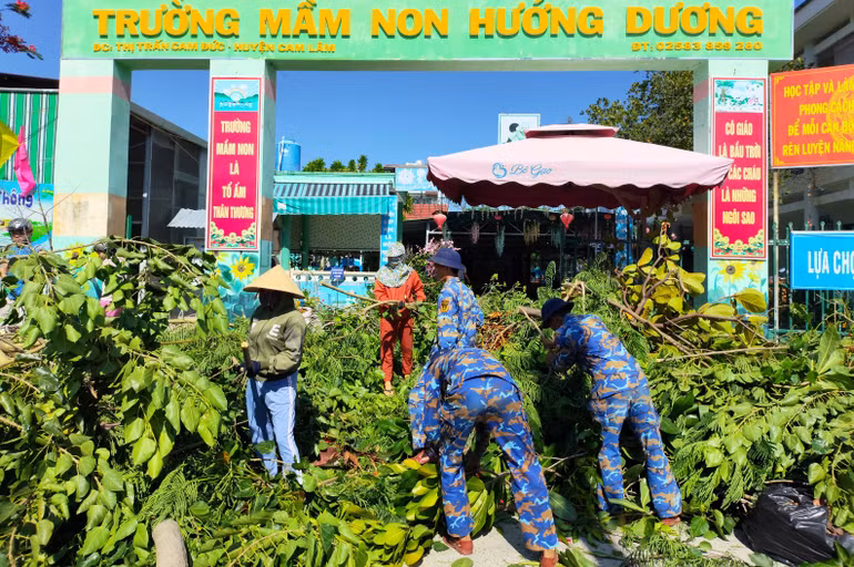 Phát quang cây lớn trước sân trường
