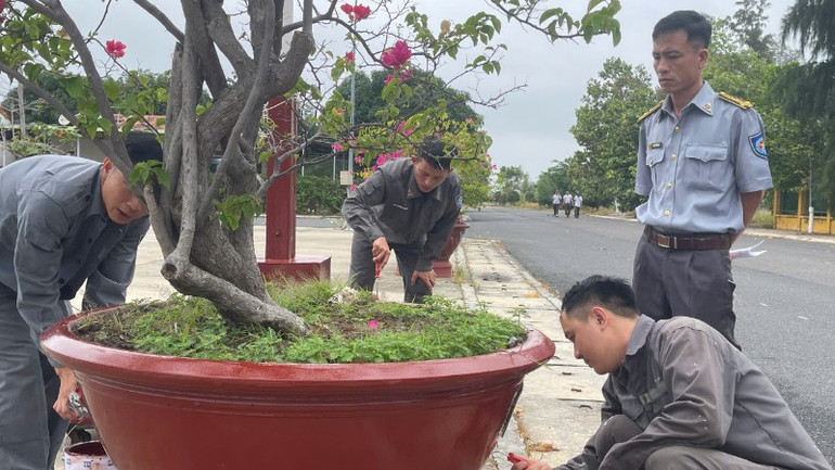 Sửa sang, chăm sóc vườn cây đơn vị. Sửa sang, chăm sóc vườn cây đơn vị.