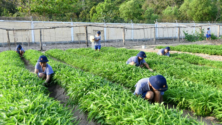 Chăm sóc vườn rau xanh để tăng gia, nâng cao đời sống.
